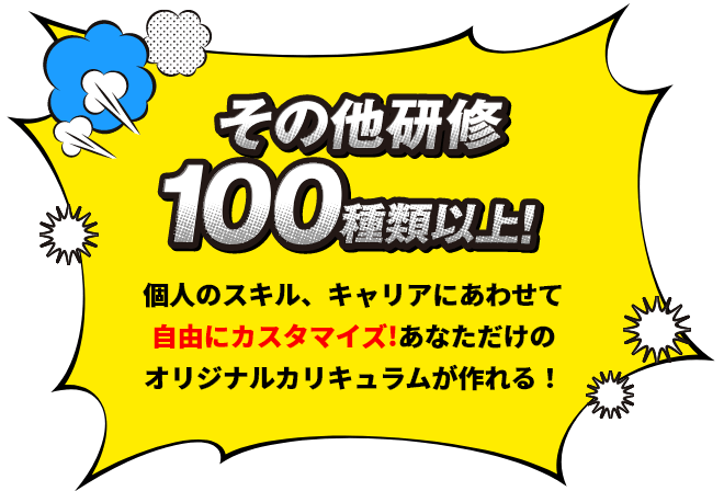 その他研修100種類以上！個人のスキル、キャリアにあわせて自由にカスタマイズ！あなただけのオリジナル カリキュラムが作れる！